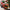 Christmas Tree Suspension Track Electric Train Kit