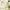 Natural Gentle Hair Removal Cream | For Women & Men, Sensitive Skin