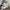 2025 New Ghost Walking Dog Statue