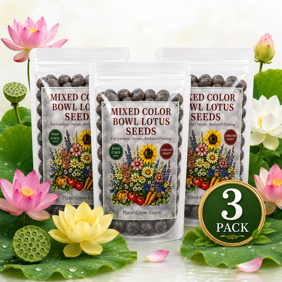 50 Mixed Color Lotus Seeds – Grow Stunning Water Lilies in Pots, Ponds & Water Gardens