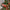 Christmas Tree Suspension Track Electric Train Kit