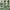50 Mixed Color Lotus Seeds – Grow Stunning Water Lilies in Pots, Ponds & Water Gardens