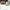 ⭐𝐆𝐞𝐞𝐋𝐞𝐦𝐨𝐧® 𝐌𝐨𝐫𝐢𝗻𝗴𝗮 · 𝐁𝐞𝐫𝐛𝗲𝗿𝗶𝗻𝗲 × 𝗡𝗔𝗗+ 𝟏𝟎 𝐢𝐧 𝟏 𝐀𝐝𝐯𝐚𝐧𝐜𝐞𝐝 𝗡𝗮𝗻𝗼 𝗠𝗶𝗰𝗿𝗼𝗻𝐞𝐞𝐝𝐥𝐞 𝐏𝐚𝐭𝗰𝗵👩‍⚕️👩‍⚕️(Just once a day, visible changes in 7 days) ✅ For obesity, loose skin, diabetes, and more.