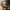 Christmas Tree Suspension Track Electric Train Kit
