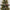 Christmas Tree Suspension Track Electric Train Kit