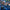 🎤Dual Wireless Lavalier Microphone Kit – Noise Reduction, USB-C & Lightning for iPhone & Android📱