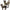 Outdoor Tactical Cat Harness & Leash
