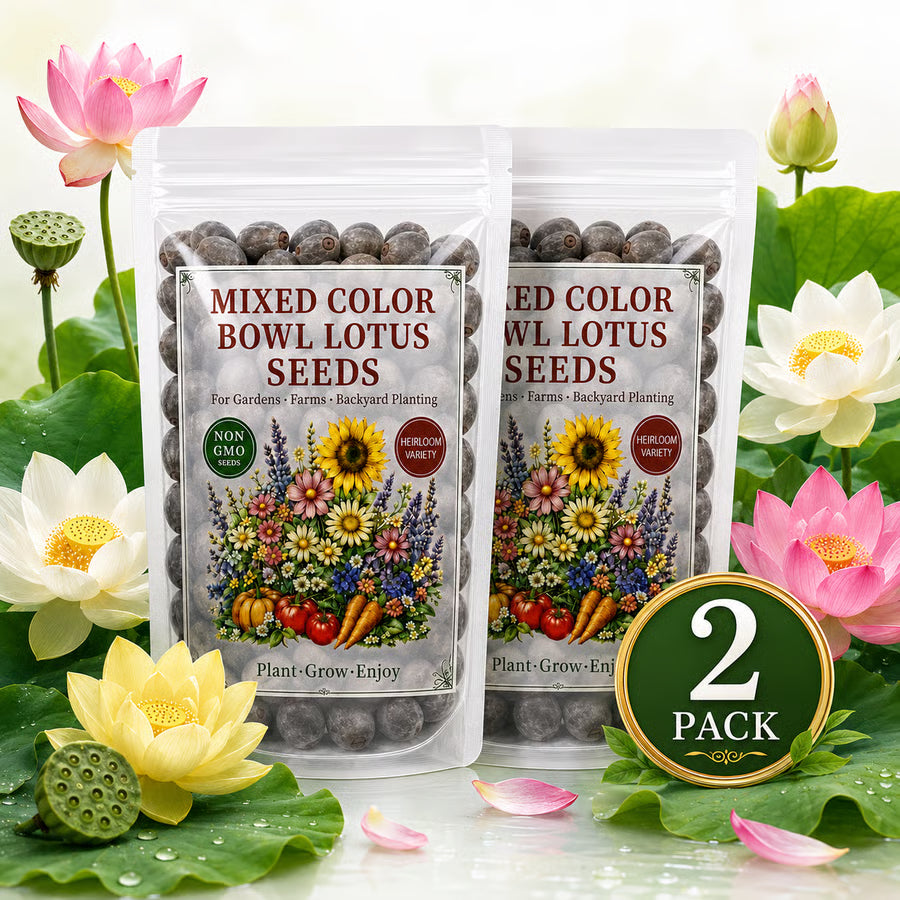 50 Mixed Color Lotus Seeds – Grow Stunning Water Lilies in Pots, Ponds & Water Gardens
