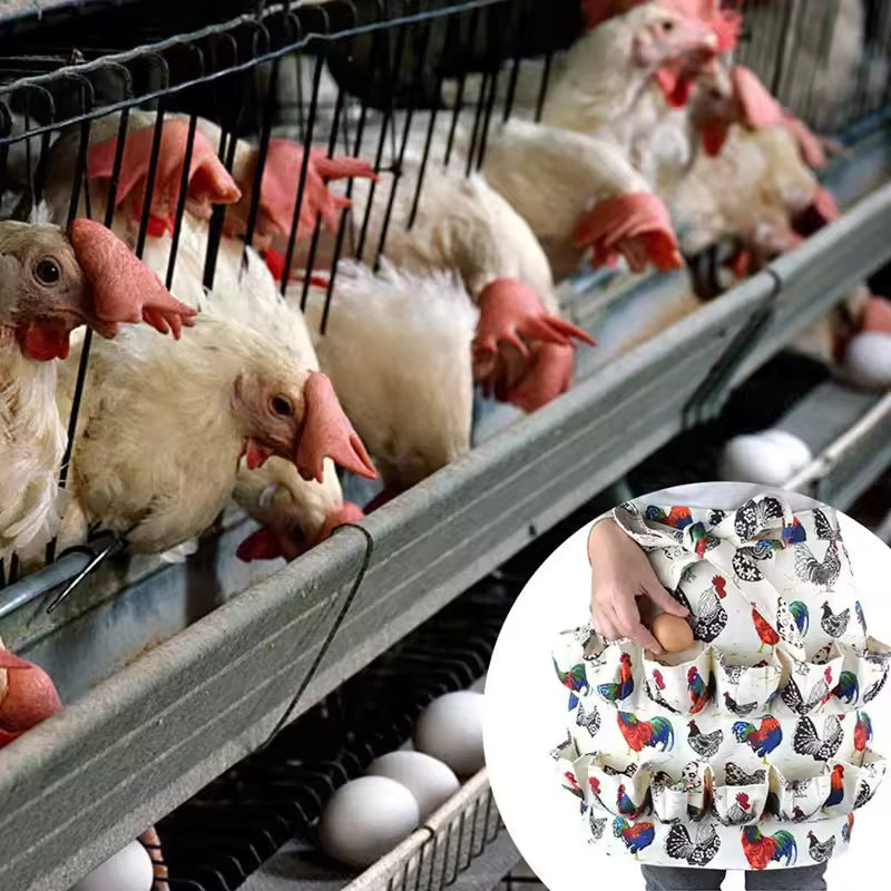 Multi-pocket egg collecting apron