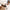 🕶️2-in-1 Headband Sunglasses for Women – Stylish & Versatile for Everyday Wear✨