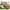 50 Mixed Color Lotus Seeds – Grow Stunning Water Lilies in Pots, Ponds & Water Gardens