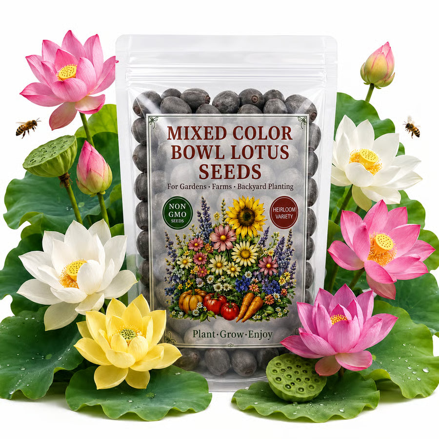 50 Mixed Color Lotus Seeds – Grow Stunning Water Lilies in Pots, Ponds & Water Gardens