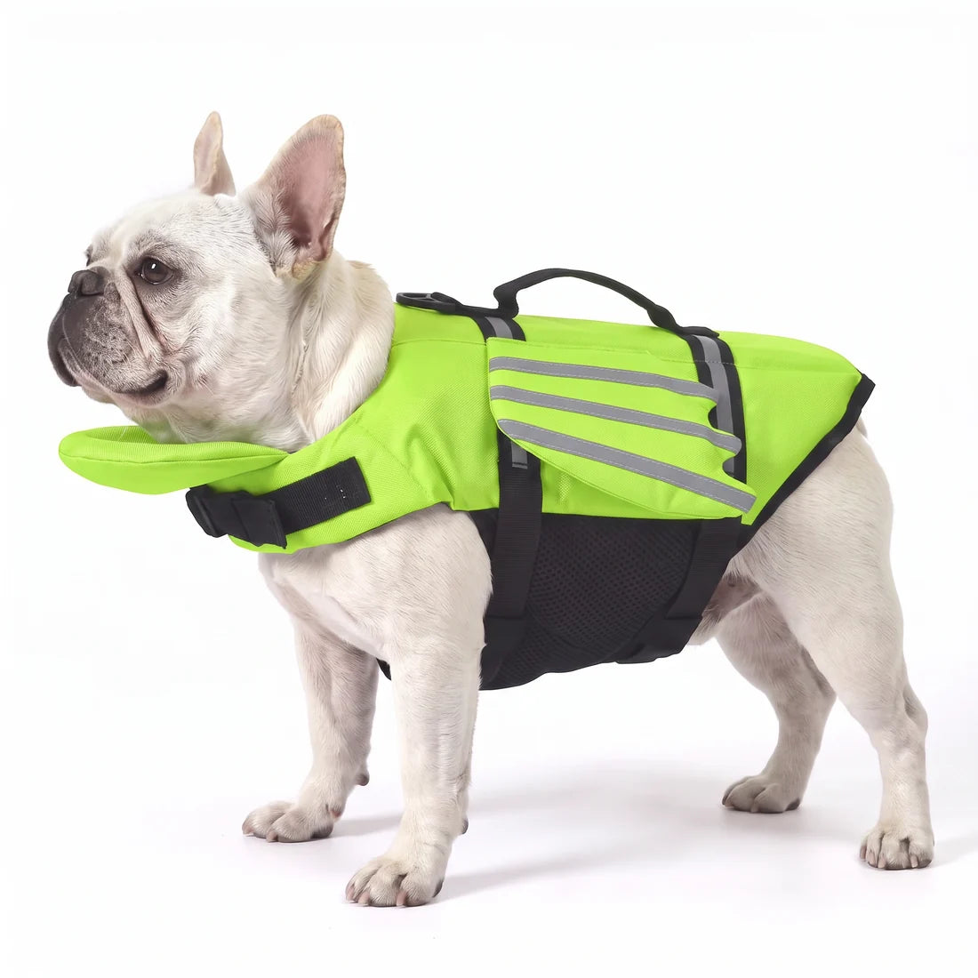 🥳2026 HOT SALE🥳💞50K+ SOLD!🐕👼 50% OFF! Reflective Angel Wing Dog Life Jacket – High‑buoyancy, quick‑rescue handle & breathable mesh. Reflective strips for evening swims. Safe & adorable! 🌊✨